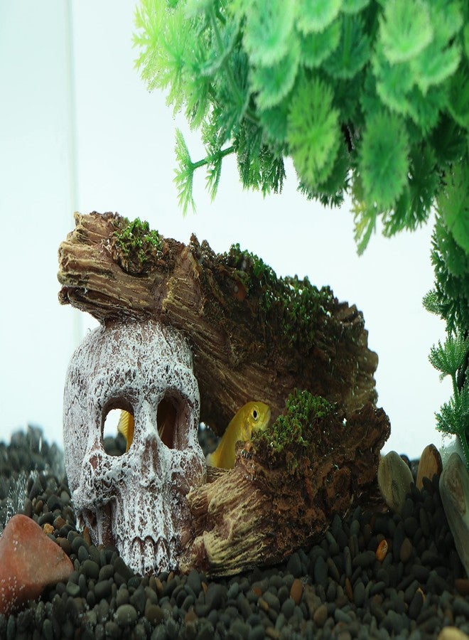 AQUA KT Aquarium Landscape Skeleton Head Skull with Tree Branch for Betta Cichlid Fish Hiding Rock Aquatic Decoration - Image 2